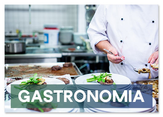 Fornecedor Papel Toalha SP