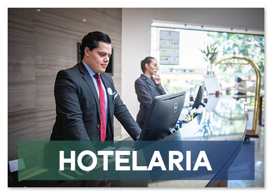 Fornecedor Papel Toalha SP